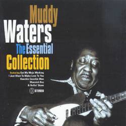 Muddy Waters : The Essential Collection